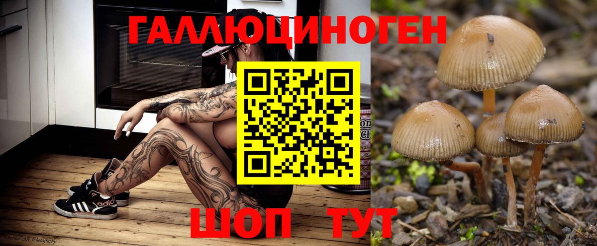 Галлюциногенные грибы мухоморы Камышин