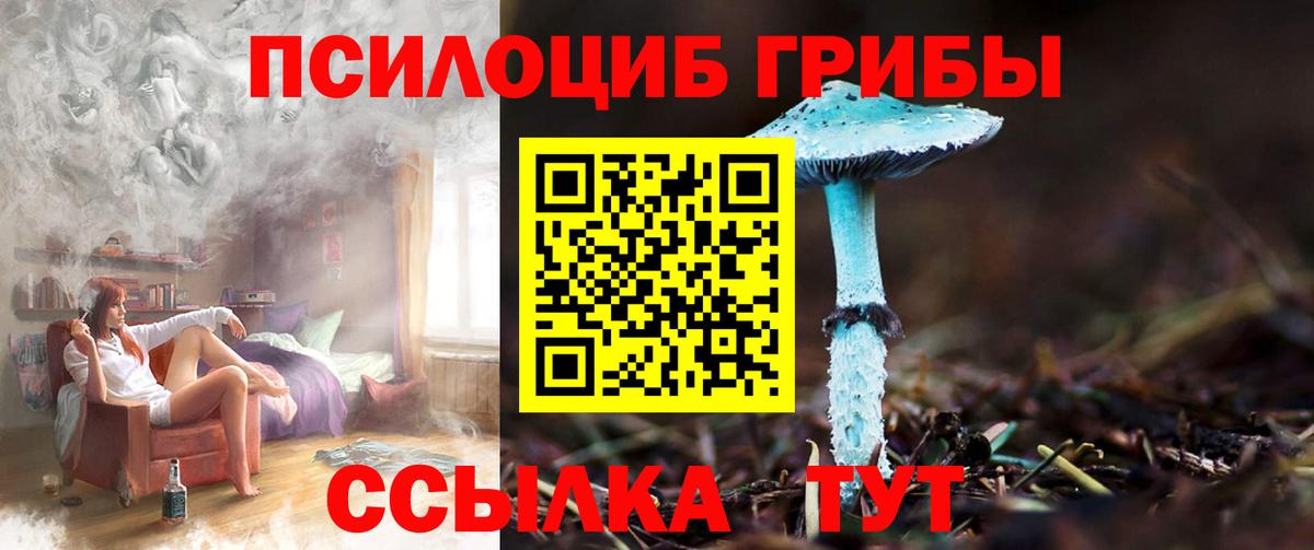 Галлюциногенные грибы мицелий  Вход с VPN  Камышин 